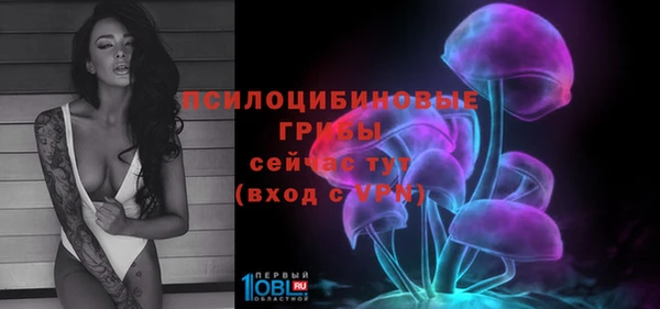 СК Осинники