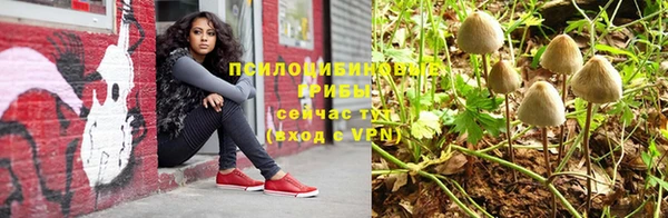 марки nbome Белокуриха